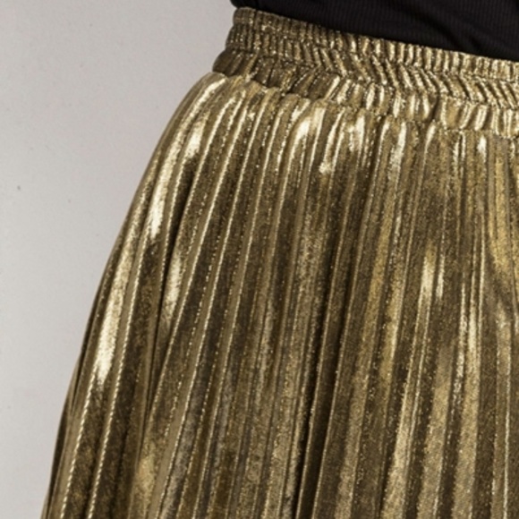 Gold Pleated Maxi Skirt - Picture 4 of 5